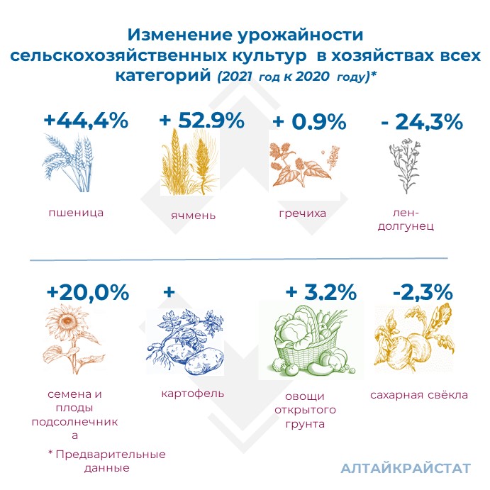О сельском хозяйстве Алтайского края в январе-декабре 2021 года