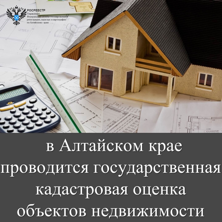 В 2023 году в Алтайском крае проводится  государственная кадастровая оценка объектов недвижимости