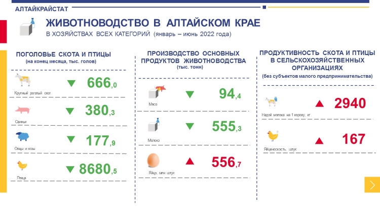 О промышленном производстве в Алтайском крае