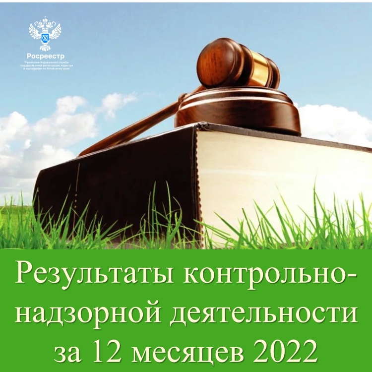 Результаты контрольно-надзорной деятельности за 12 месяцев 2022