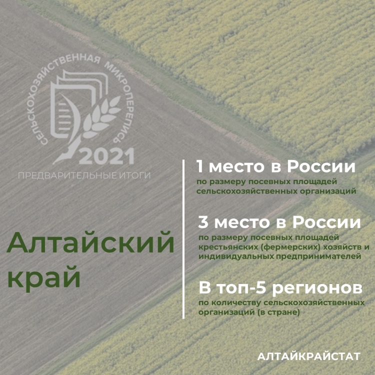Алтайский край занимает 1 место по размеру посевных площадей сельскохозяйственных организаций